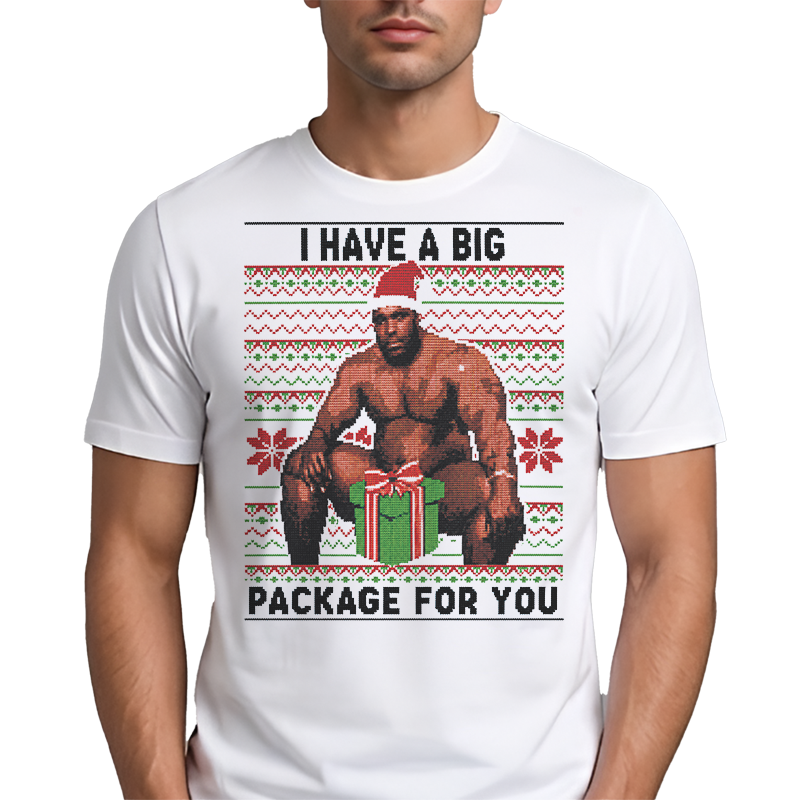I Have a Big Package for You T-Shirt – Funny Christmas Front Print Graphic Tee