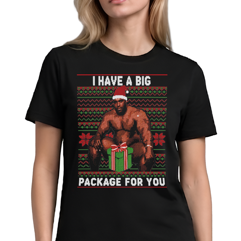 I Have a Big Package for You T-Shirt – Funny Christmas Front Print Graphic Tee