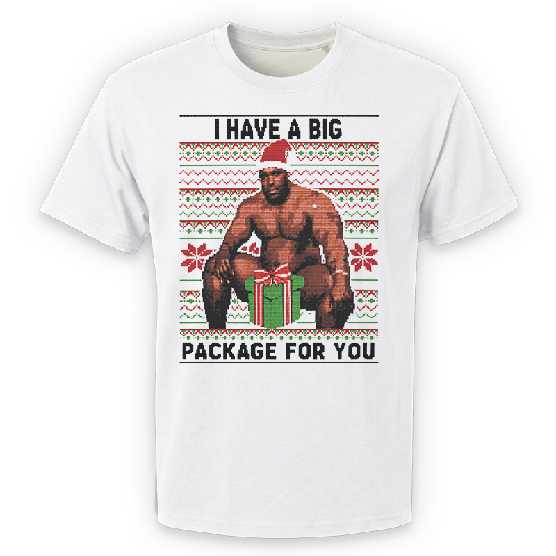 I Have a Big Package for You T-Shirt – Funny Christmas Front Print Graphic Tee