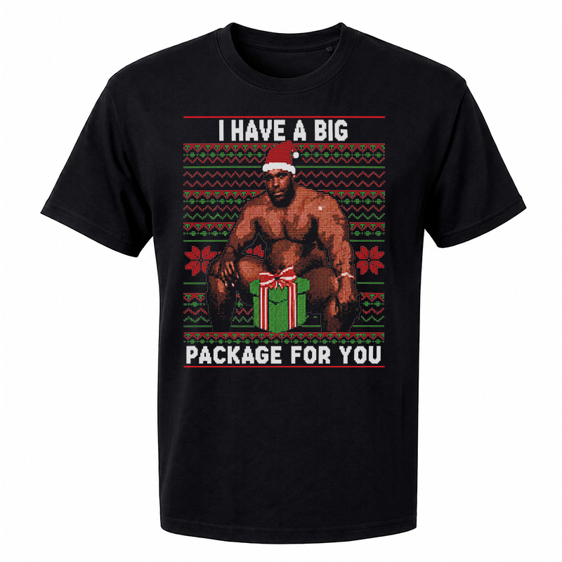 I Have a Big Package for You T-Shirt – Funny Christmas Front Print Graphic Tee