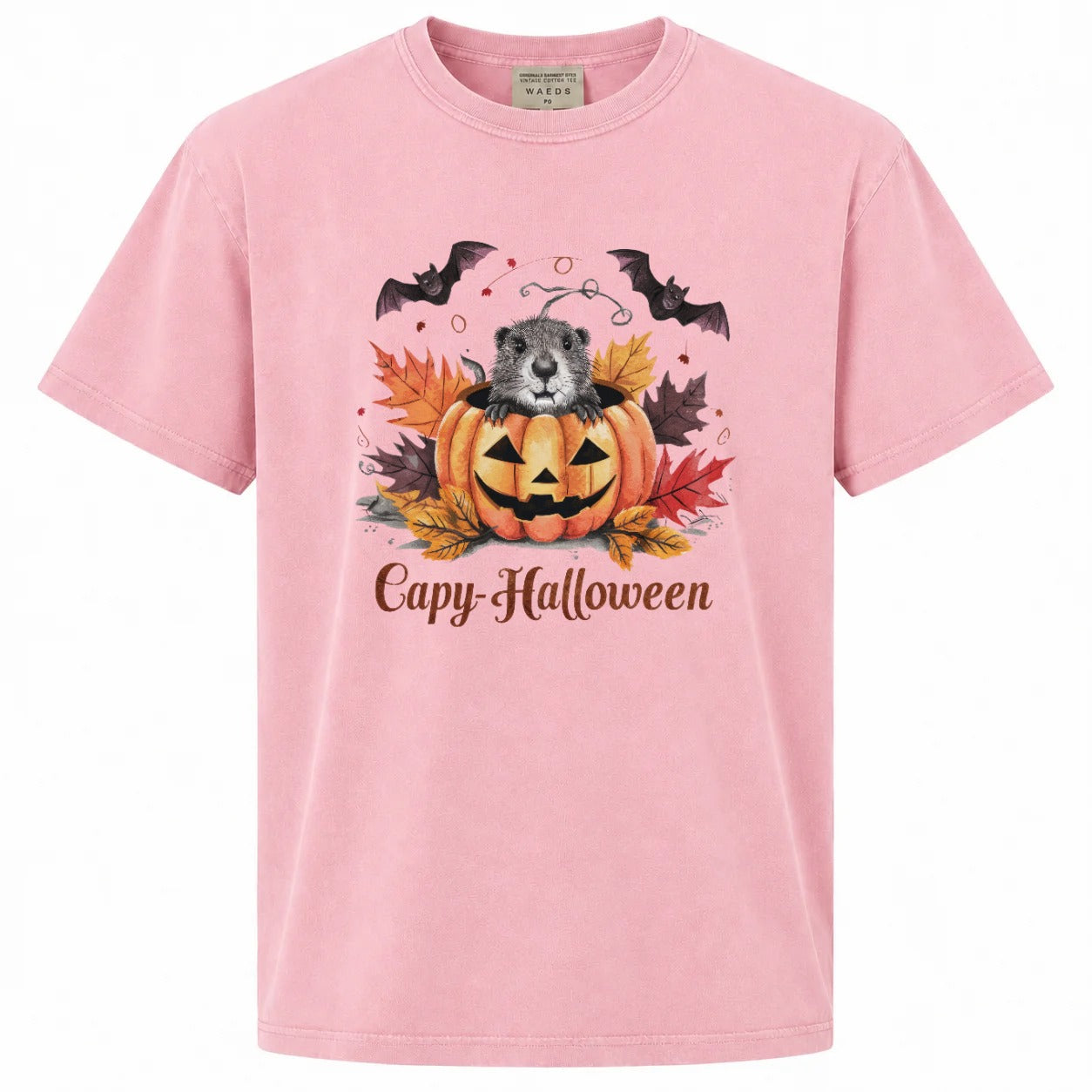 Capy-Halloween Cute Capybara Pumpkin Graphic T-Shirt