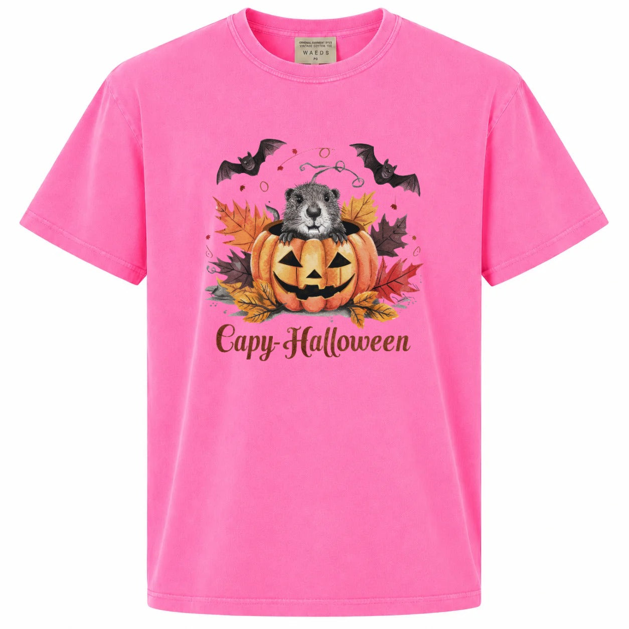 Capy-Halloween Cute Capybara Pumpkin Graphic T-Shirt
