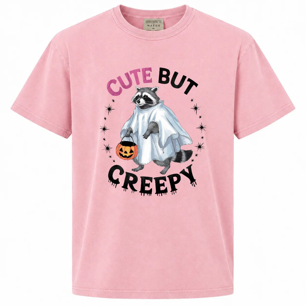 Cute But Creepy Ghost Raccoon Halloween Graphic Tee