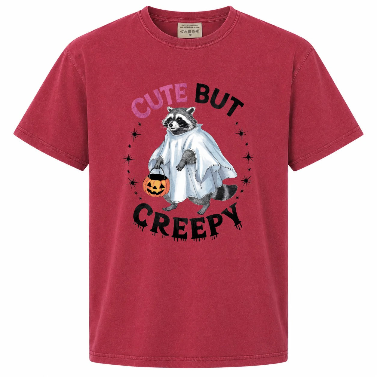 Cute But Creepy Ghost Raccoon Halloween Graphic Tee