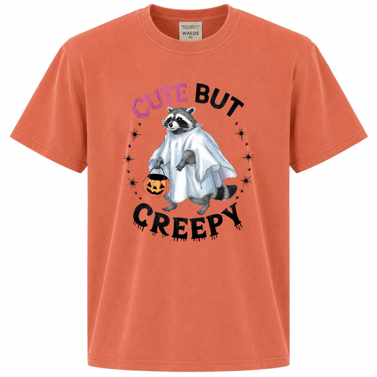 Cute But Creepy Ghost Raccoon Halloween Graphic Tee