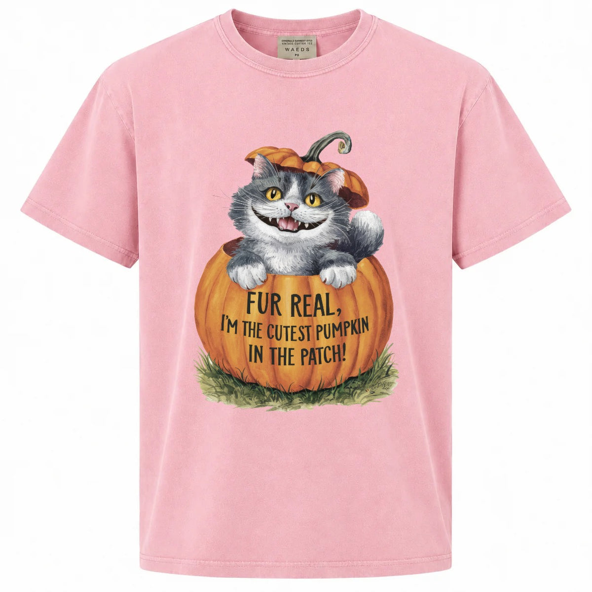 Fur Real I'm the Cutest Pumpkin in the Patch Cat Graphic Tee