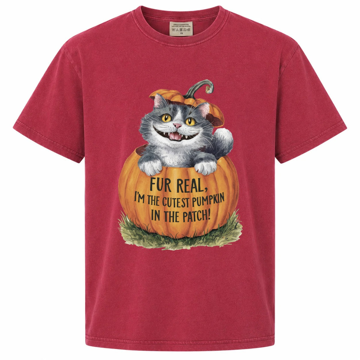 Fur Real I'm the Cutest Pumpkin in the Patch Cat Graphic Tee
