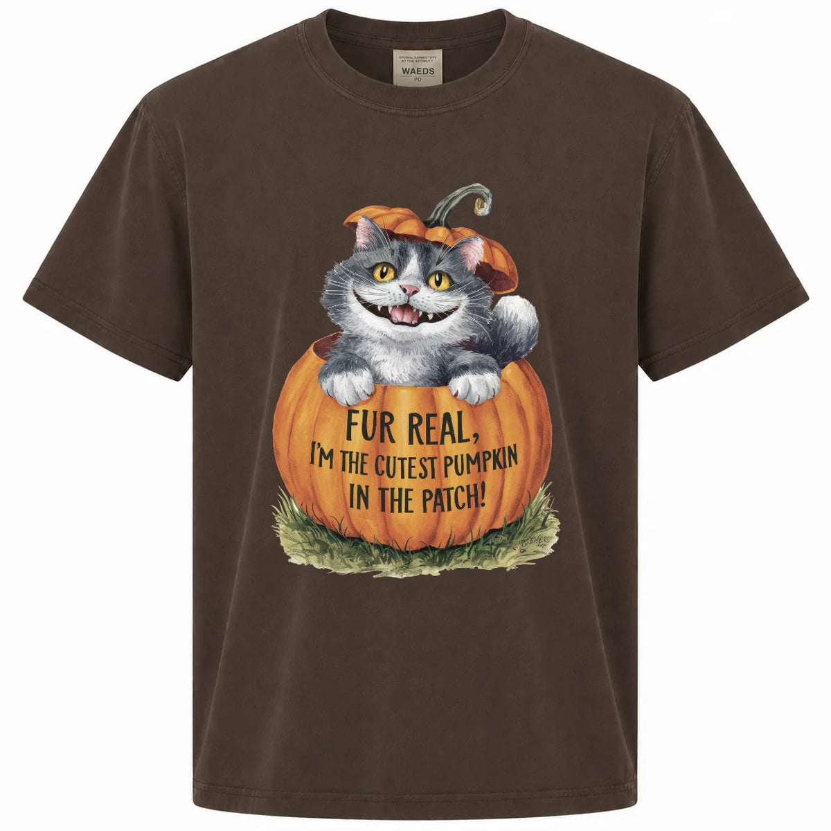 Fur Real I'm the Cutest Pumpkin in the Patch Cat Graphic Tee