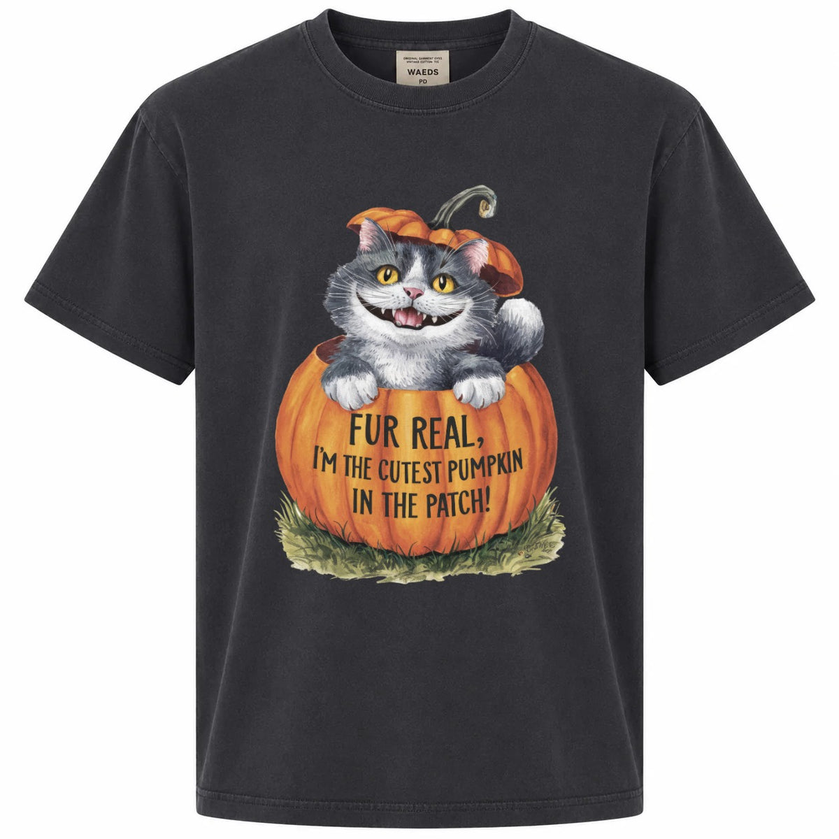 Fur Real I'm the Cutest Pumpkin in the Patch Cat Graphic Tee