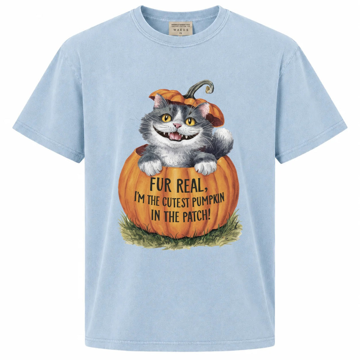 Fur Real I'm the Cutest Pumpkin in the Patch Cat Graphic Tee