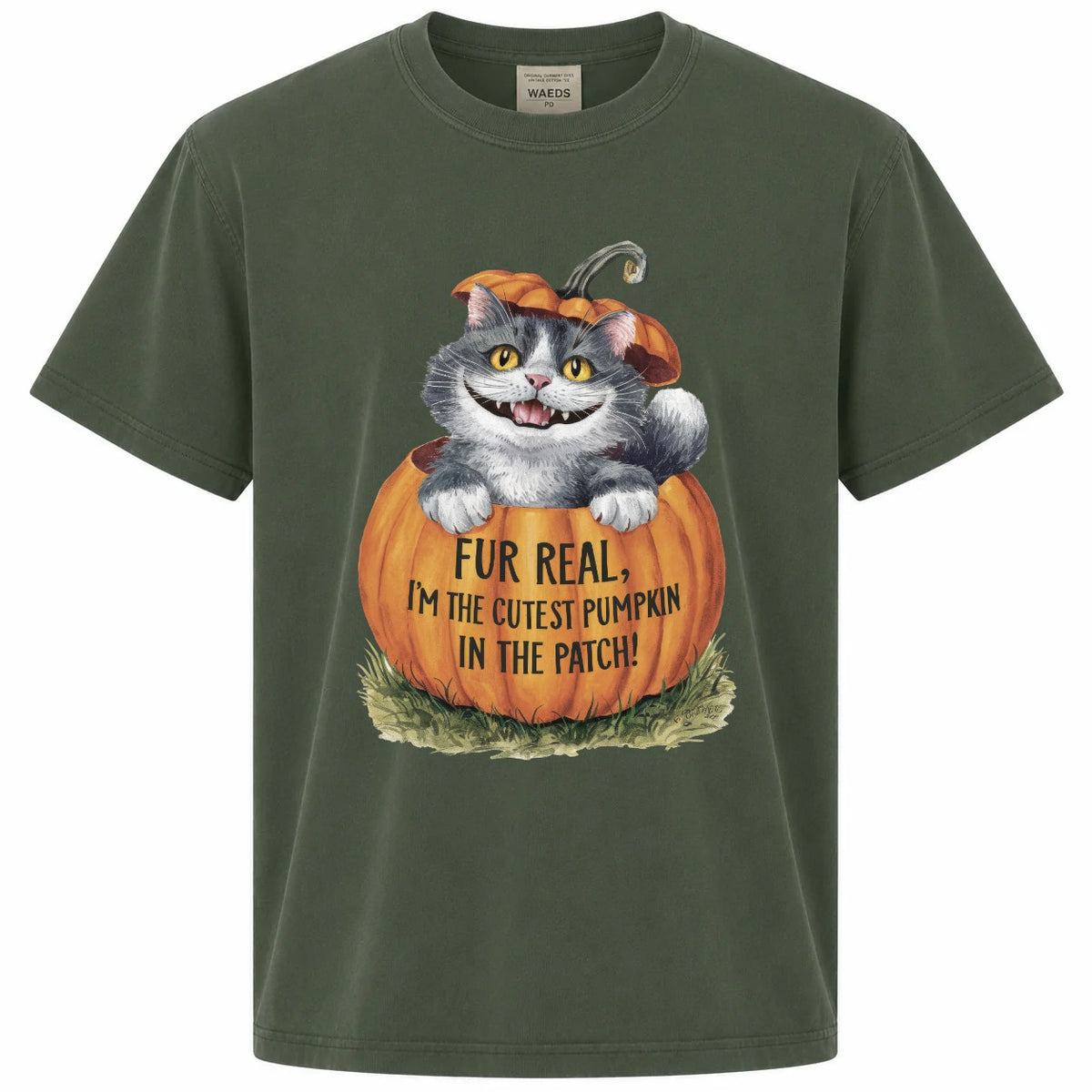 Fur Real I'm the Cutest Pumpkin in the Patch Cat Graphic Tee