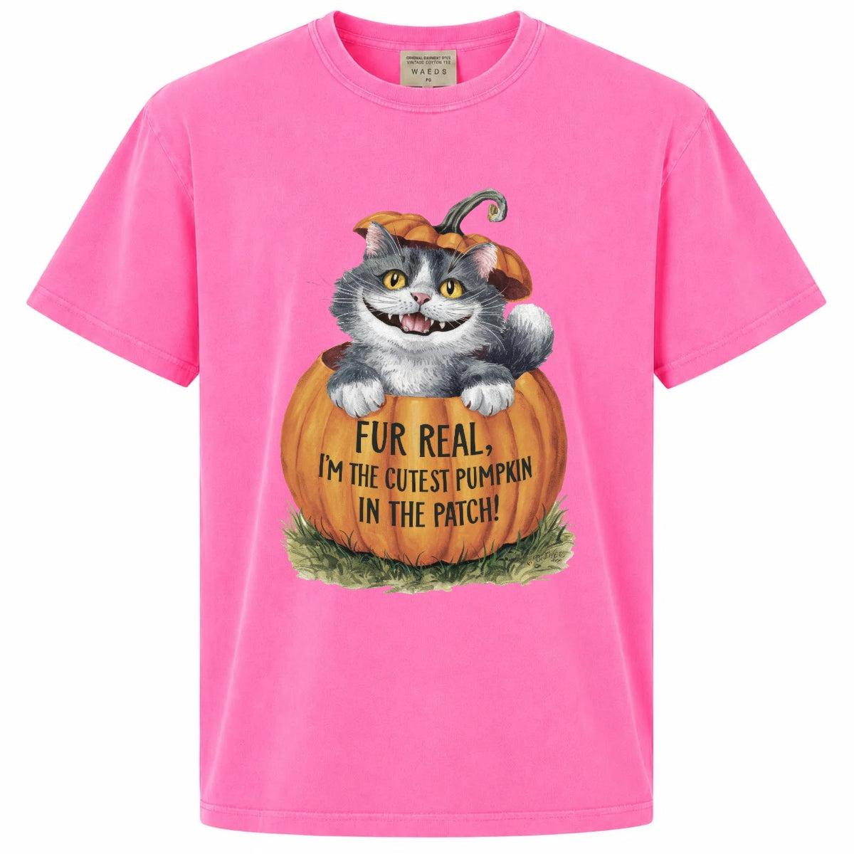 Fur Real I'm the Cutest Pumpkin in the Patch Cat Graphic Tee