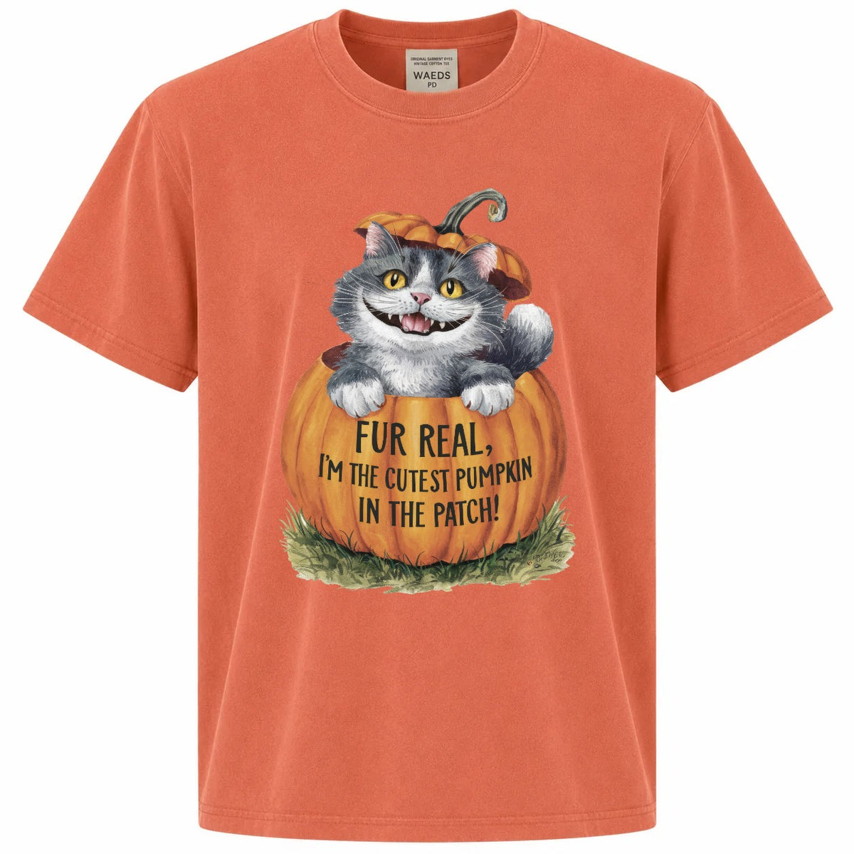 Fur Real I'm the Cutest Pumpkin in the Patch Cat Graphic Tee